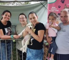 Meio Ambiente promove adoção de 12 animais em evento no Max Feffer