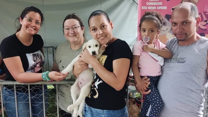 Meio Ambiente promove adoção de 12 animais em evento no Max Feffer