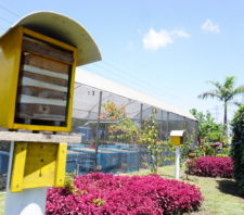 Viveiro Municipal conclui primeira capacitação em apicultura
