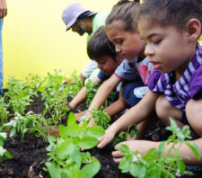 Primeira-dama participa de plantio de horta e pomar em escola do Jardim Natal