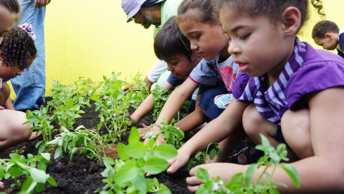 Primeira-dama participa de plantio de horta e pomar em escola do Jardim Natal