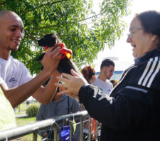 Setor de Bem-Estar Animal organiza evento de adoção no Parque Max Feffer