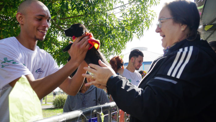 Setor de Bem-Estar Animal organiza evento de adoção no Parque Max Feffer