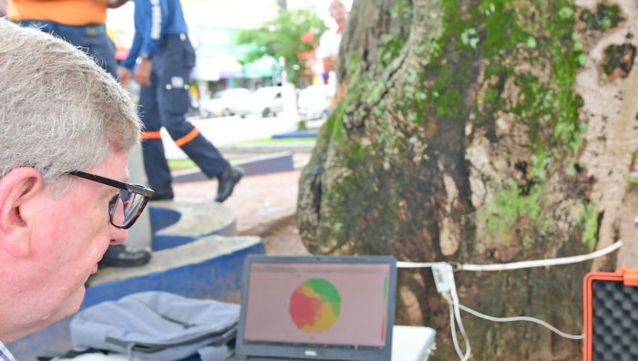Manutenção e Serviços Urbanos promove diagnóstico por tomógrafo em árvores do centro