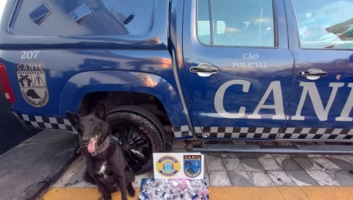 Em três dias, GCM de Suzano faz atendimento a cinco ocorrências
