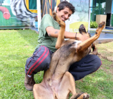 ‘Baby, me Leva!’ disponibiliza mais três novos pets para adoção
