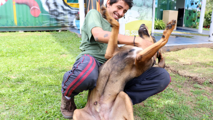 ‘Baby, me Leva!’ disponibiliza mais três novos pets para adoção
