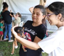 ‘Baby, me Leva!’ realiza adoção de 22 animais em evento no Max Feffer