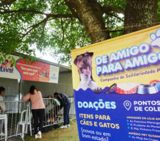 Secretaria do Meio Ambiente atinge marca de 519 adoções no domingo