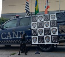 Canil da GCM conquista 3º lugar durante competição em Campinas