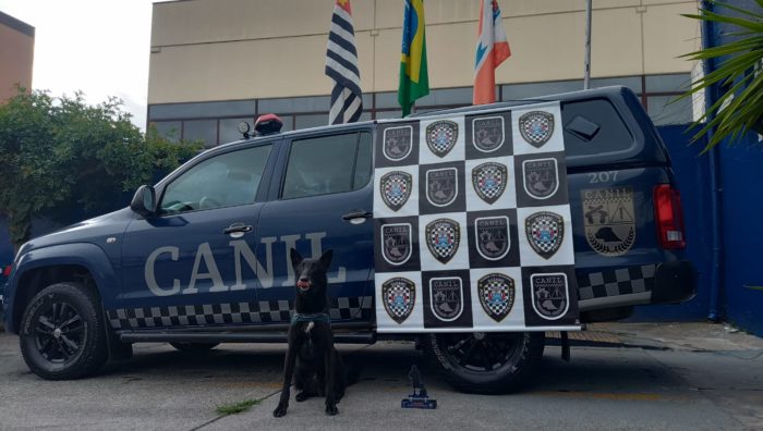 Canil da GCM conquista 3º lugar durante competição em Campinas