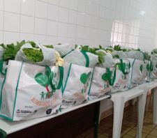 Projeto ‘Alimentando Vidas’ abrange mais de 350 pessoas de Suzano