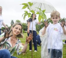 Viveiro Municipal recebe doação de 40 mudas de ipês