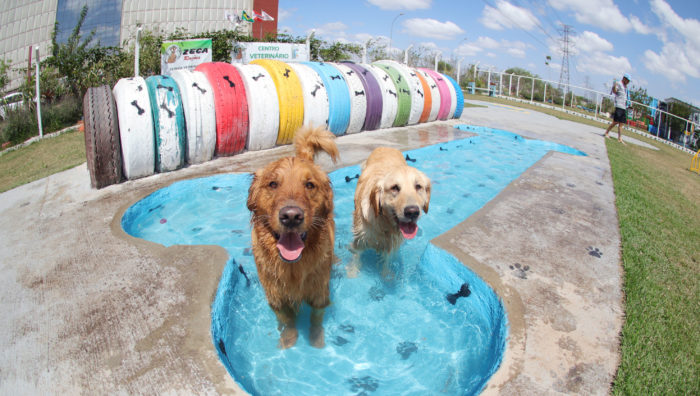 Evento inédito ‘PlayPet Day – Edição Pool Party de Natal’ ocorre neste sábado