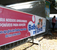 Max Feffer terá 1º evento de adoção de animais de 2023 neste domingo