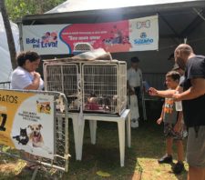 Evento do ‘Baby, me Leva!’ promove adoção de 26 animais no domingo