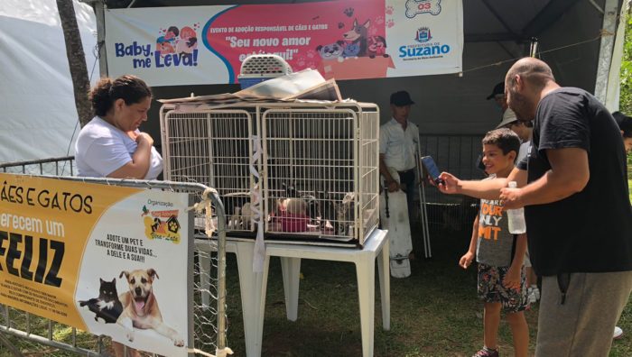 Evento do ‘Baby, me Leva!’ promove adoção de 26 animais no domingo
