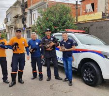 Defesa Civil de Suzano presta auxílio a resgate de animais