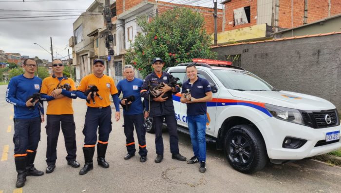 Defesa Civil de Suzano presta auxílio a resgate de animais