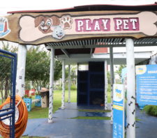 Playpet realiza novas inscrições e recadastramentos para visitação de cães e gatos em 2023