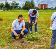Parque Max Feffer recebe doação de 697 mudas de plantas