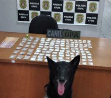 GCM apreende drogas e prende suspeitos de tráfico no Jardim Cacique