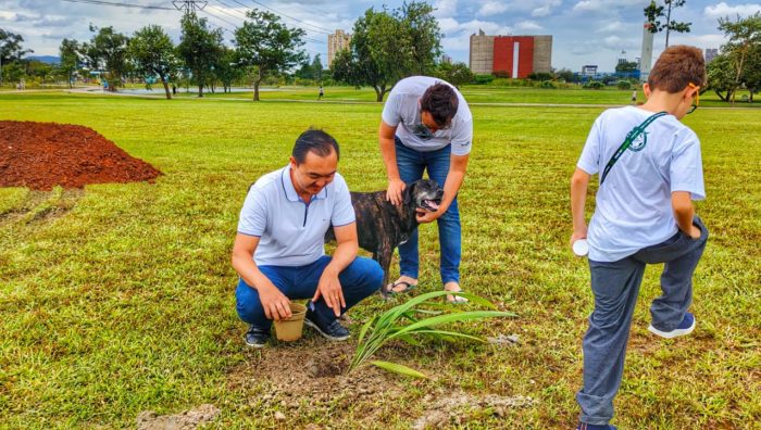 Parque Max Feffer recebe doação de 697 mudas de plantas