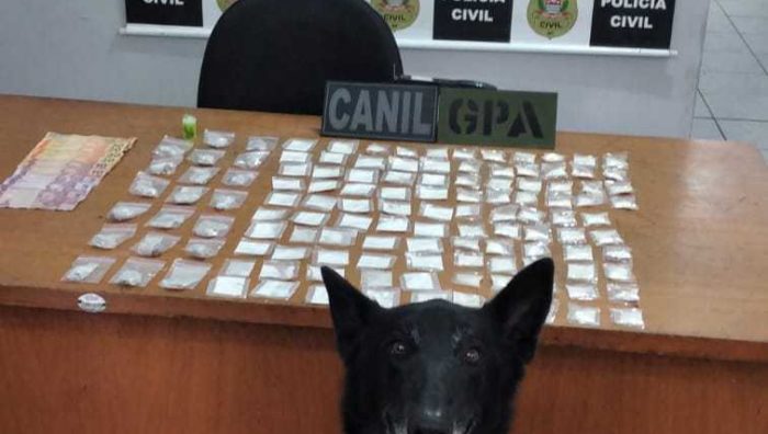 GCM apreende drogas e prende suspeitos de tráfico no Jardim Cacique