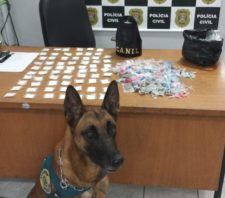 Canil da GCM apreende drogas em lixeira no Jardim Colorado