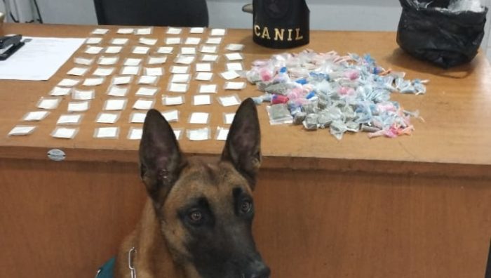 Canil da GCM apreende drogas em lixeira no Jardim Colorado