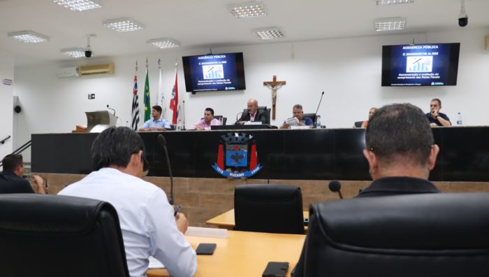Prestação de contas destaca desempenho satisfatório de Suzano em 2022