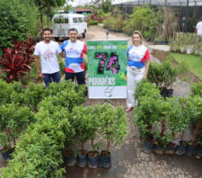 Viveiro Municipal recebe mudas de árvore para uso em projetos de plantio