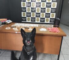 Canil da GCM localiza drogas no Jardim Alterópolis