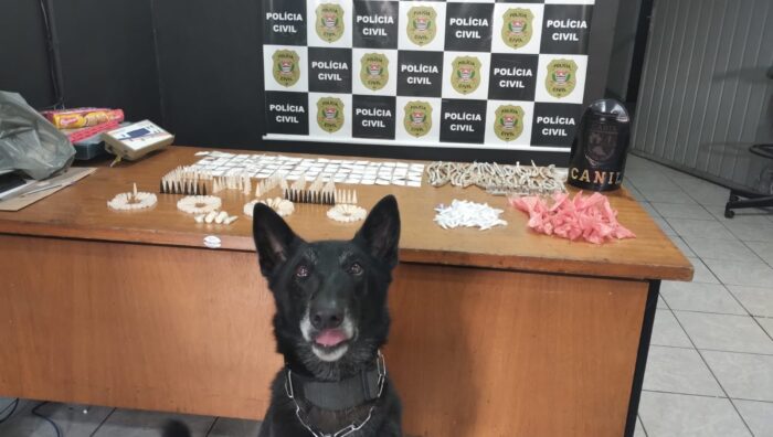 Canil da GCM localiza drogas no Jardim Alterópolis