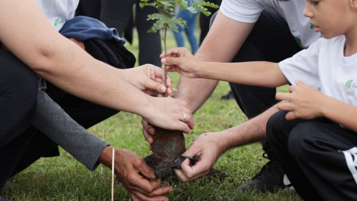 Viveiro Municipal promove plantio de mudas com a Suzano S/A