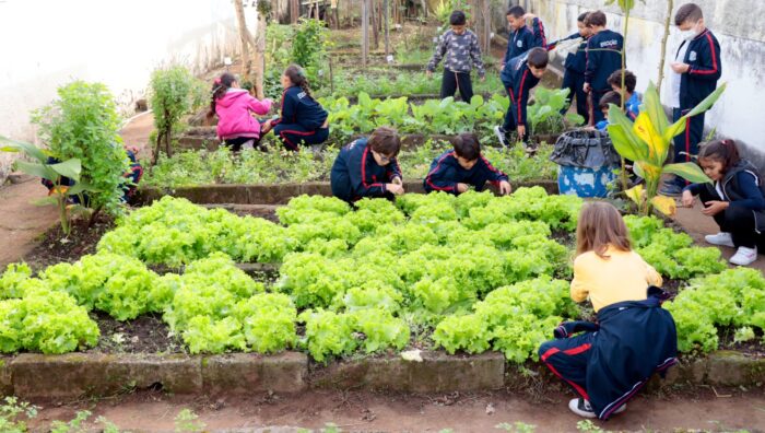 Alunos colhem verduras e hortaliças em horta de escola no Jardim Cacique
