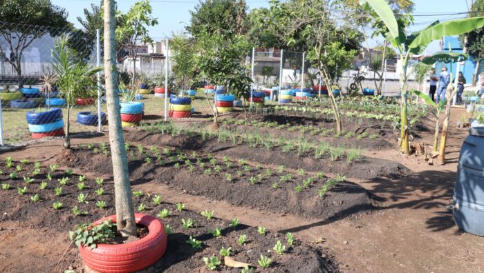 Viveiro Municipal inicia implantação de novas hortas comunitárias
