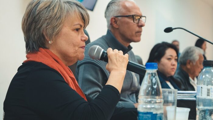 Balanço anual da Secretaria de Meio Ambiente é apresentado na Câmara