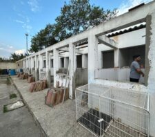 Secretário de Saúde vistoria obras de reforma do Canil Municipal