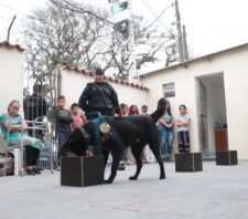 Canil da GCM se apresenta para crianças e jovens da Aadvis