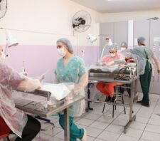 Meio Ambiente reforça ao público agendado que castração de pets ocorre neste sábado