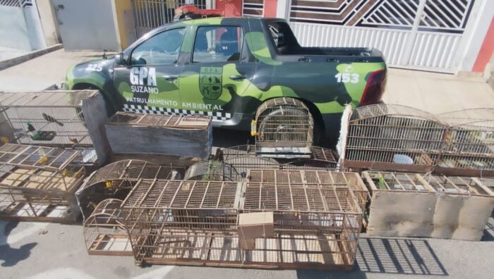 GPA resgata 32 animais silvestres e impede desmatamento, extração e descarte irregulares