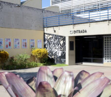 Cultura divulga programação do Cineteatro Wilma Bentivegna para novembro