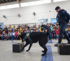 Canil se apresenta a alunos de escola do Jardim Maitê