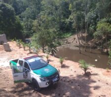 GCM intervém em movimentação de terra e resgata animais