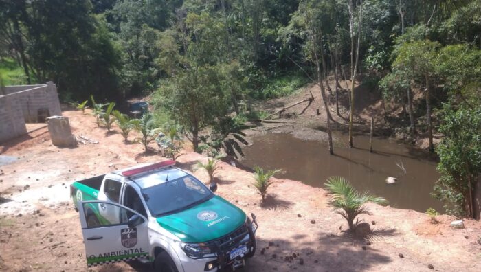GCM intervém em movimentação de terra e resgata animais