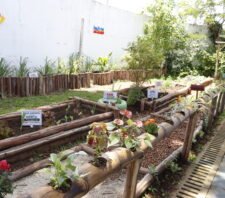 Educação inaugura horta pedagógica para 60 alunos do Jardim Monte Cristo