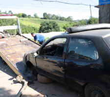 Fiscalização de Posturas atua contra desmonte clandestino em Palmeiras