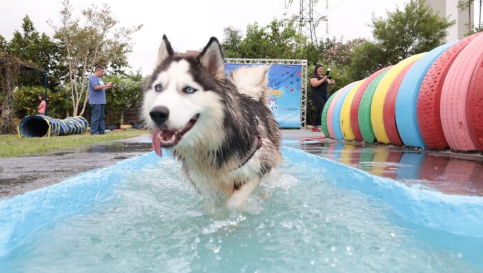 ‘PlayPet Day’ reúne dezenas de tutores e animais no último sábado