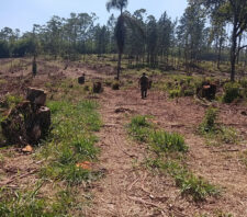 GPA resgata animais em situação de abandono e impede movimentação de terra e desmatamento